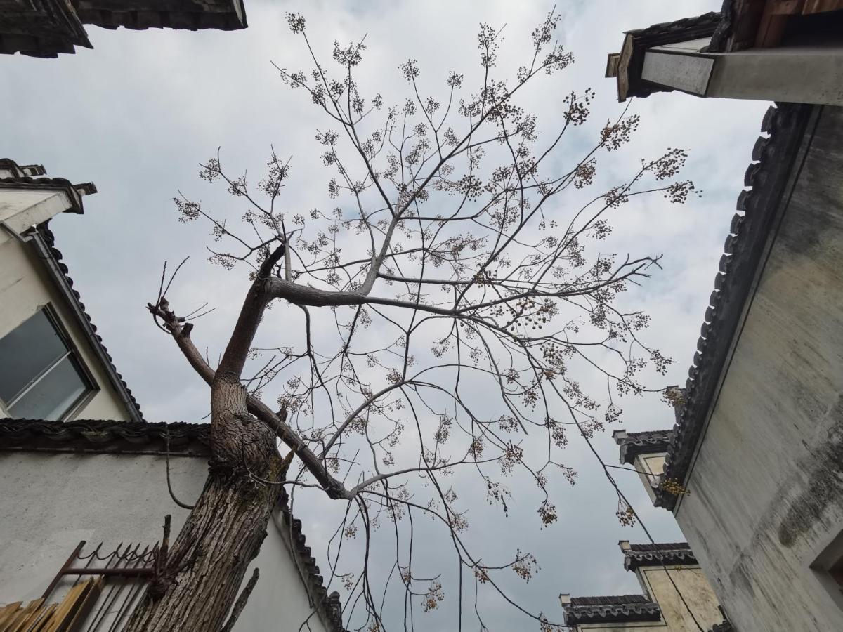 Xidi Kunlun International Hostel Yi (Anhui) Exteriér fotografie